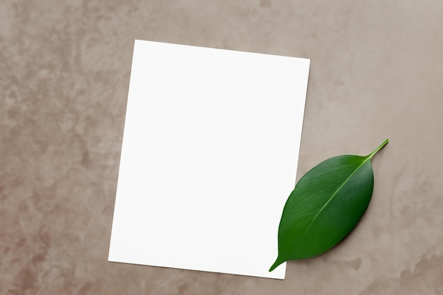 Photo a mockup white paper harmoniously adorned with a fresh leaf unveiling a delicate fusion