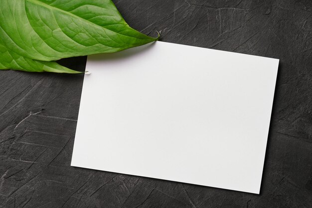 Photo a mockup white paper harmoniously adorned with a fresh leaf unveiling a delicate fusion