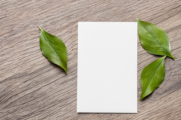 Foto un modello di libro bianco armoniosamente adornato da una foglia fresca che svela una delicata fusione