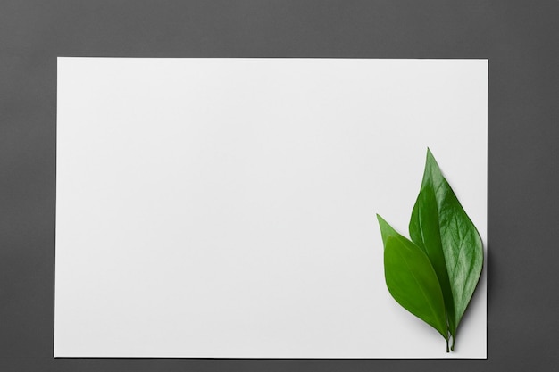 Photo a mockup white paper harmoniously adorned with a fresh leaf unveiling a delicate fusion