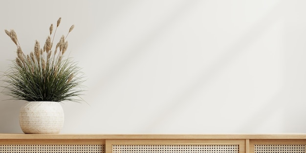 Mockup white wall background empty room with plants on a wooden cabinet