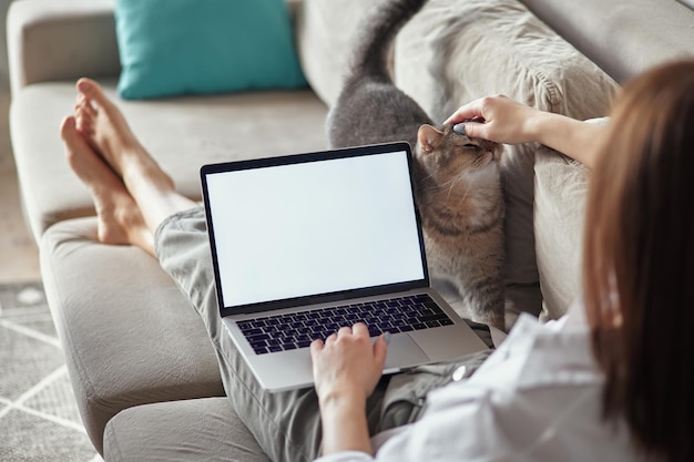 Mockup wit scherm laptop vrouw met behulp van computer en huisdier kat liggend op de bank thuis achteraanzicht focus op