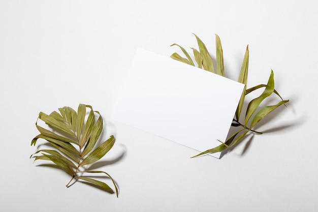 Mockup with blank horizontal sheets of paper with copy space Hard sunlight and shadows on a white background with palm leaves Template for business layout Top view flat lay