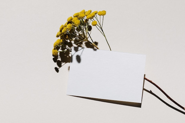 Mockup with blank paper business card and dried yellow flower\
over beige pastel background