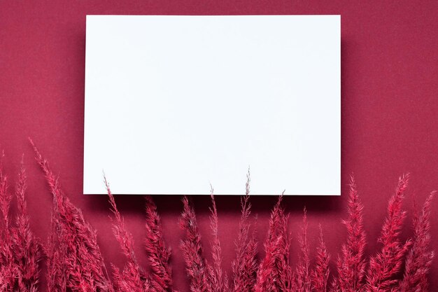 Mockup con carta bianca vuota ed erba di pampas essiccata su sfondo beige pastello concetto elegante minimo colore viva magenta dell'anno 2023