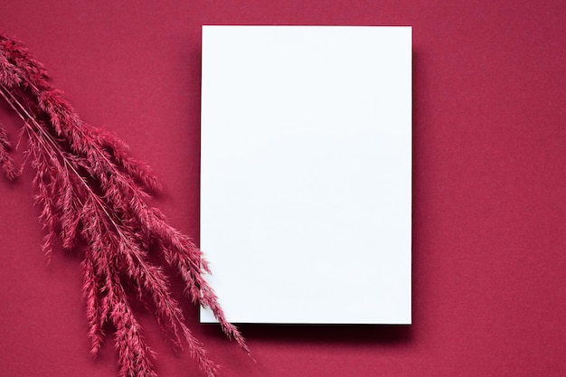 Foto mockup con carta bianca vuota ed erba di pampas essiccata su sfondo beige pastello concetto elegante minimo colore viva magenta dell'anno 2023