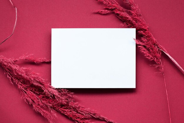 Mockup con carta bianca vuota ed erba di pampas essiccata su sfondo beige pastello concetto elegante minimo colore viva magenta dell'anno 2023