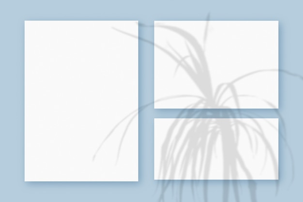 青いテーブルの背景にテクスチャの白い紙の3つの水平および垂直シートに重ねられた植物の影のモックアップ。