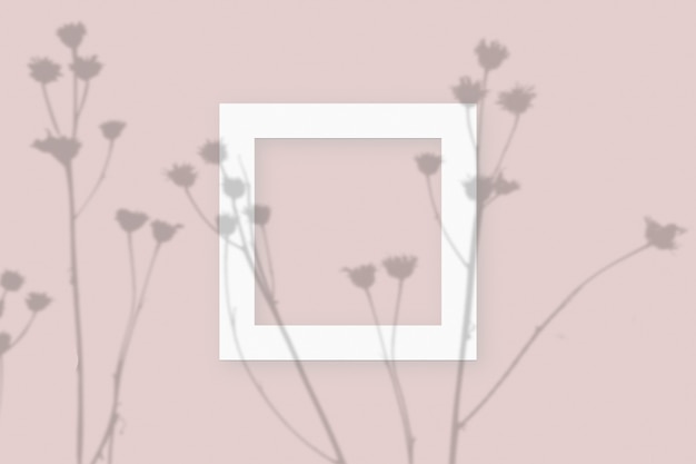 Mockup with vegetable shadows superimposed on square frame of textured white paper on a pink table background.