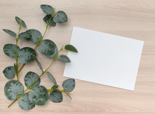 Photo mockup on a wooden background of a branch of eucalyptus and a sheet of white paper place for text