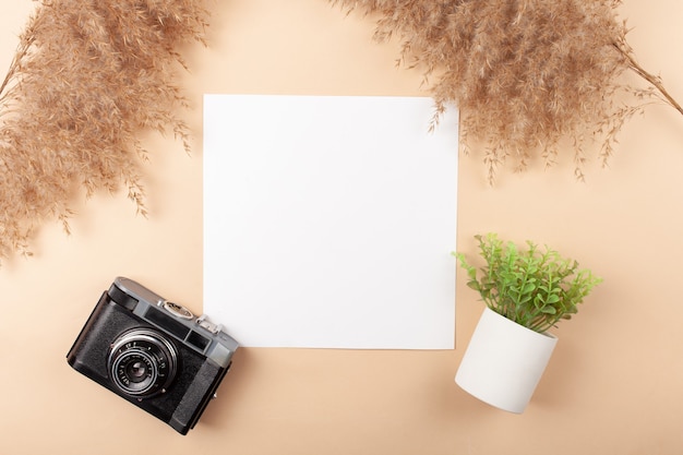 Mocup on a beige background. Beautiful plants, empty white space for text.