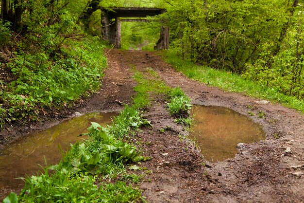 Foto modderige en natte weg zonder asfaltbedekking