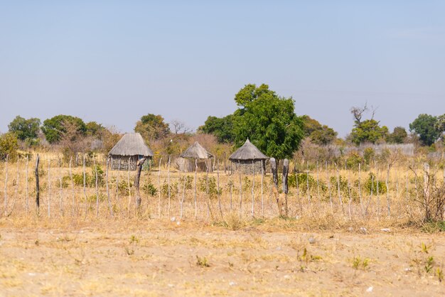 Modderstro en houten hut met rieten dak in de struik. Lokaal dorp in de landelijke Caprivi-strook, het dichtstbevolkte gebied in Namibië, Afrika.