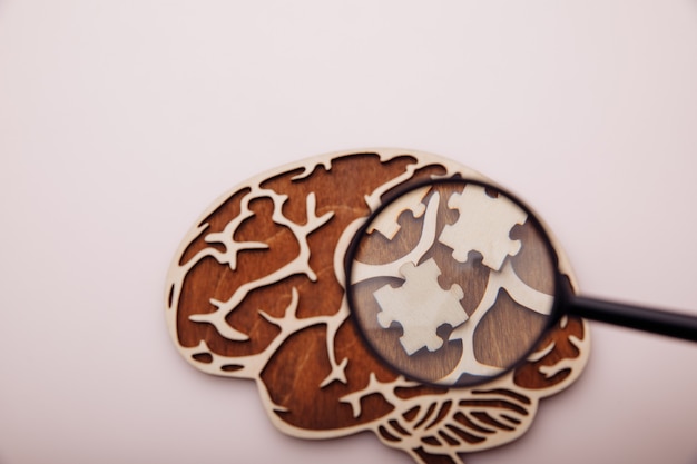 Model of brain and wooden puzzles with magnifier, healthcare concept.