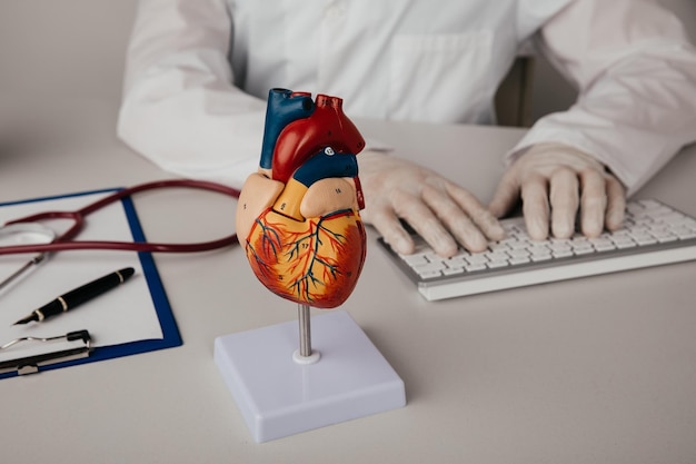 Foto modello del cuore sul tavolo del medico con lo stetoscopio