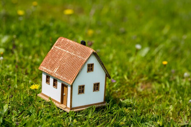 Model house in green grass garden. Small house.