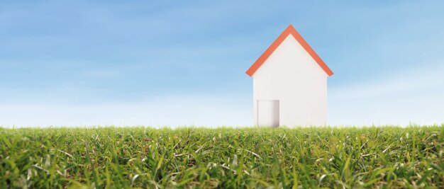 Model house in the meadow with grass in the evening