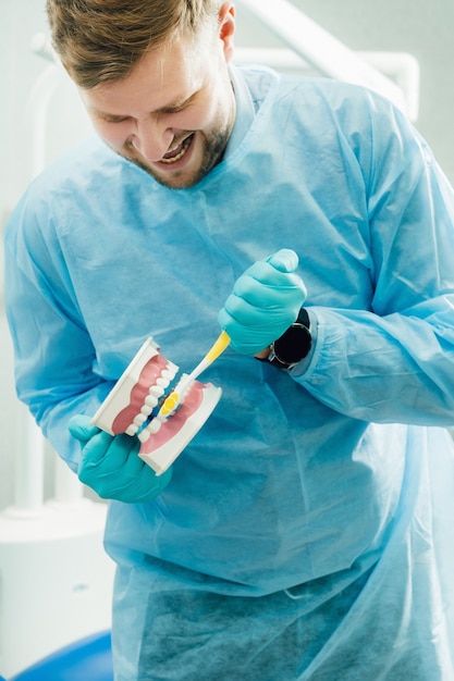 A model of a human jaw with teeth and a toothbrush in the dentist's hand.