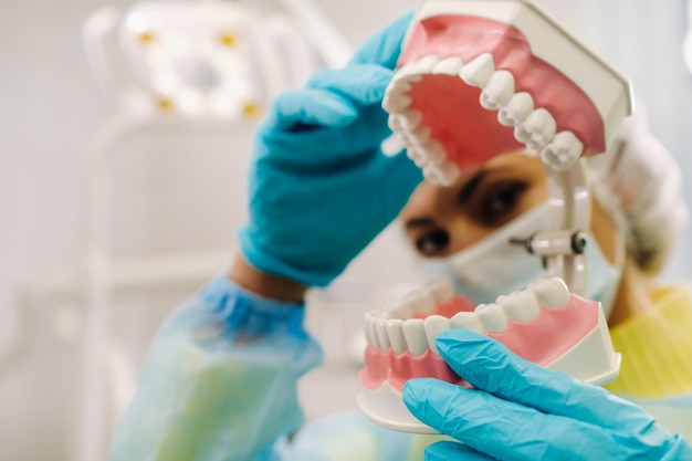 A model of a human jaw with teeth and a toothbrush in the dentist's hand