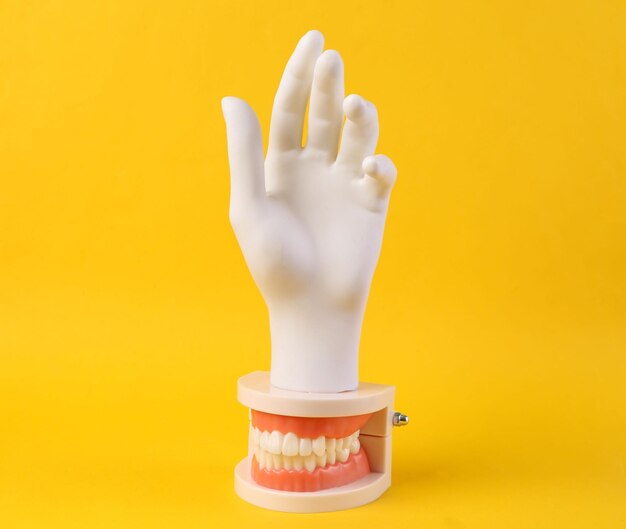 Photo model of human jaw with white teeth and white hand on yellow background minimal concept art