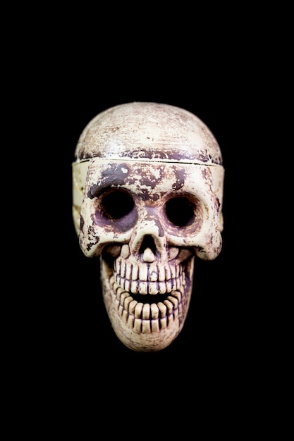 黒の背景に人間の頭蓋骨のモデル。