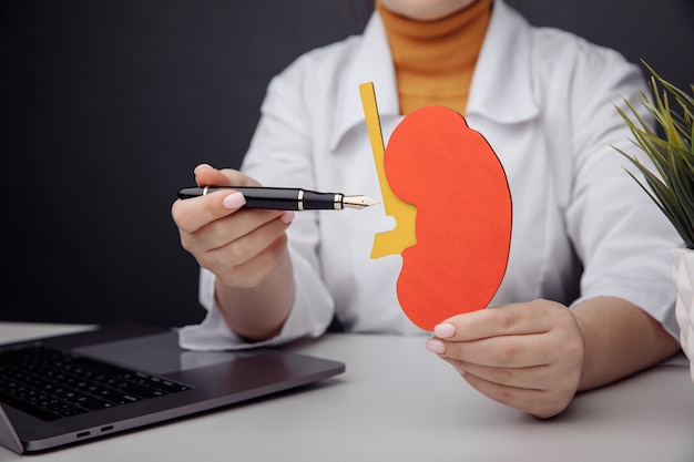 Model of kidney and doctor at her office