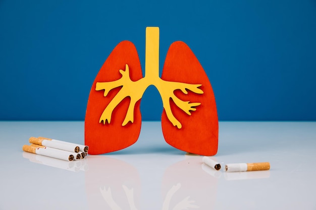 Modello di concetto di assistenza sanitaria di polmoni e sigarette
