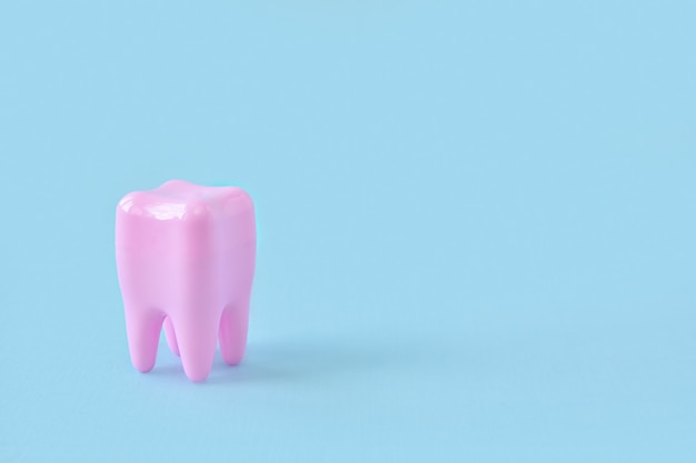 사진 파란색 표면에 치아의 모델