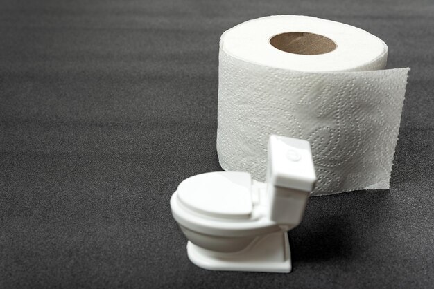 Model of small toy toilet bowl and Roll of toilet paper on gray background Hygiene products for the restroom