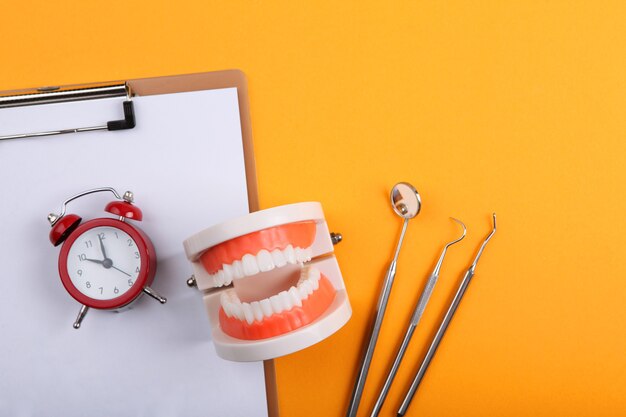 Модель зубов и стоматологических инструментов и средств ухода за зубами