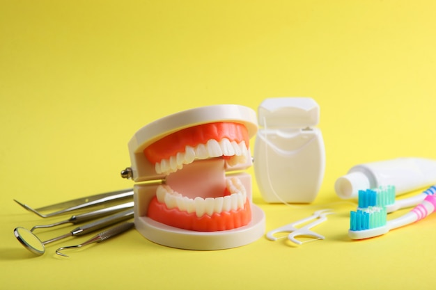 Model of teeth and dental instruments and dental care products