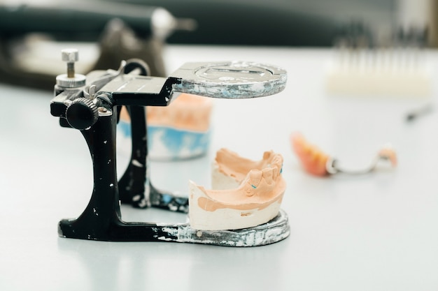 歯科技工士のための顎の石膏で作られた歯のモデル。