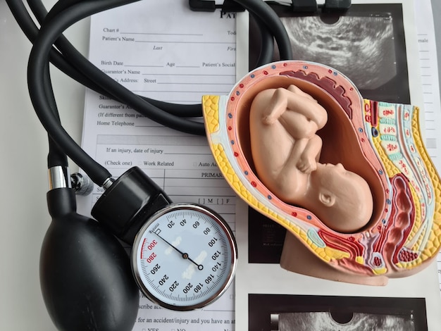 Model of uterus with fetus of tonometer with ultrasound on table