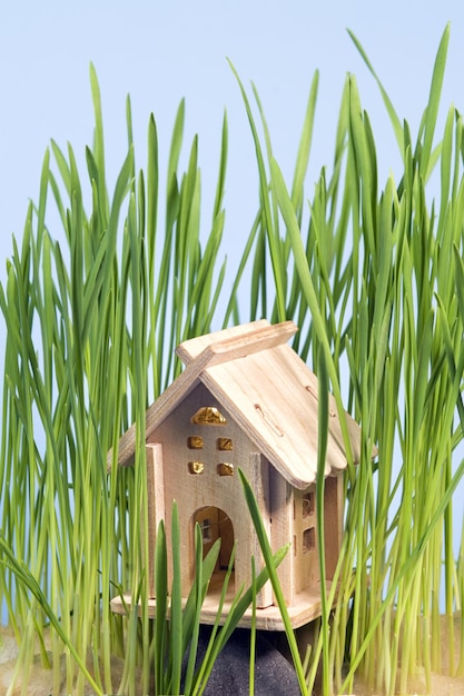 Model van een houten huis in het gras op een blauwe achtergrond