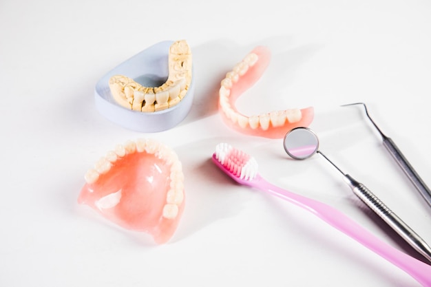 Model van tanden en tandvlees van een tandarts