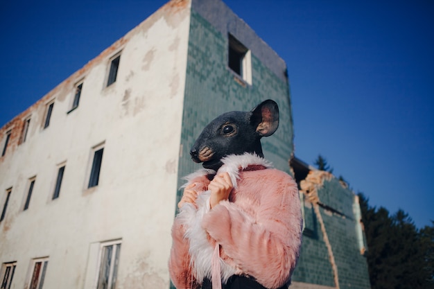 Model wearing mouse mask is posing in a pink fur coat