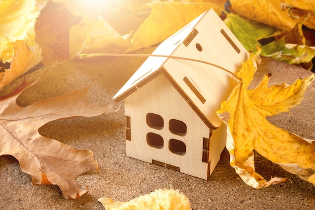 model of a wooden house among fallen leaves