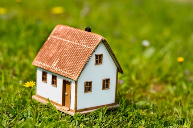 Foto modelhuis in groene grastuin. klein huis.