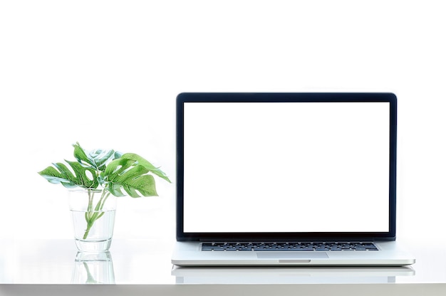 Modellaptop met het lege scherm en kamerplant op witte hoogste lijst