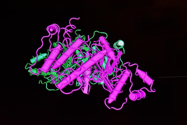 Modelstructuur van het eiwitmolecuul