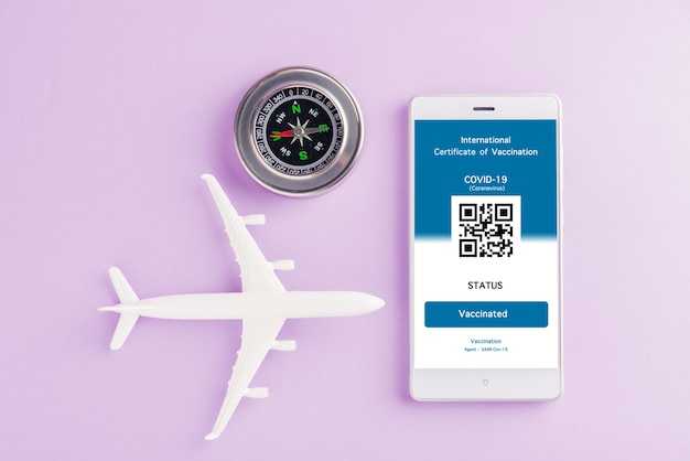 Modelvliegtuigpaspoort en immuniteitspas zijn geregelde applicatie op smartphone
