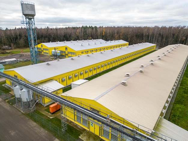 Modern agroindustrial complex top view Flying a drone over a large chicken farm raising broiler chickens for meat Rows of chicken coops and silver grain silos