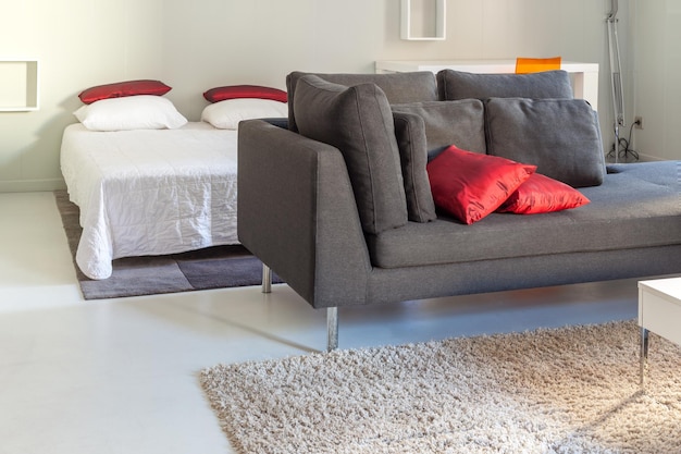 写真 モダンなアパートメント居心地の良い家具枕付きソファ