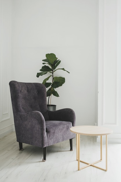 Фото Современное кресло против белой стены в интерьере гостиной с растениями