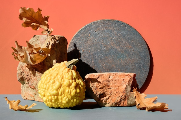 Modern bakstenen podium van de herfst met natuurlijk decor met schaduwen in oranje en grijs