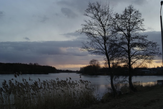 Moderne belle immagini della natura