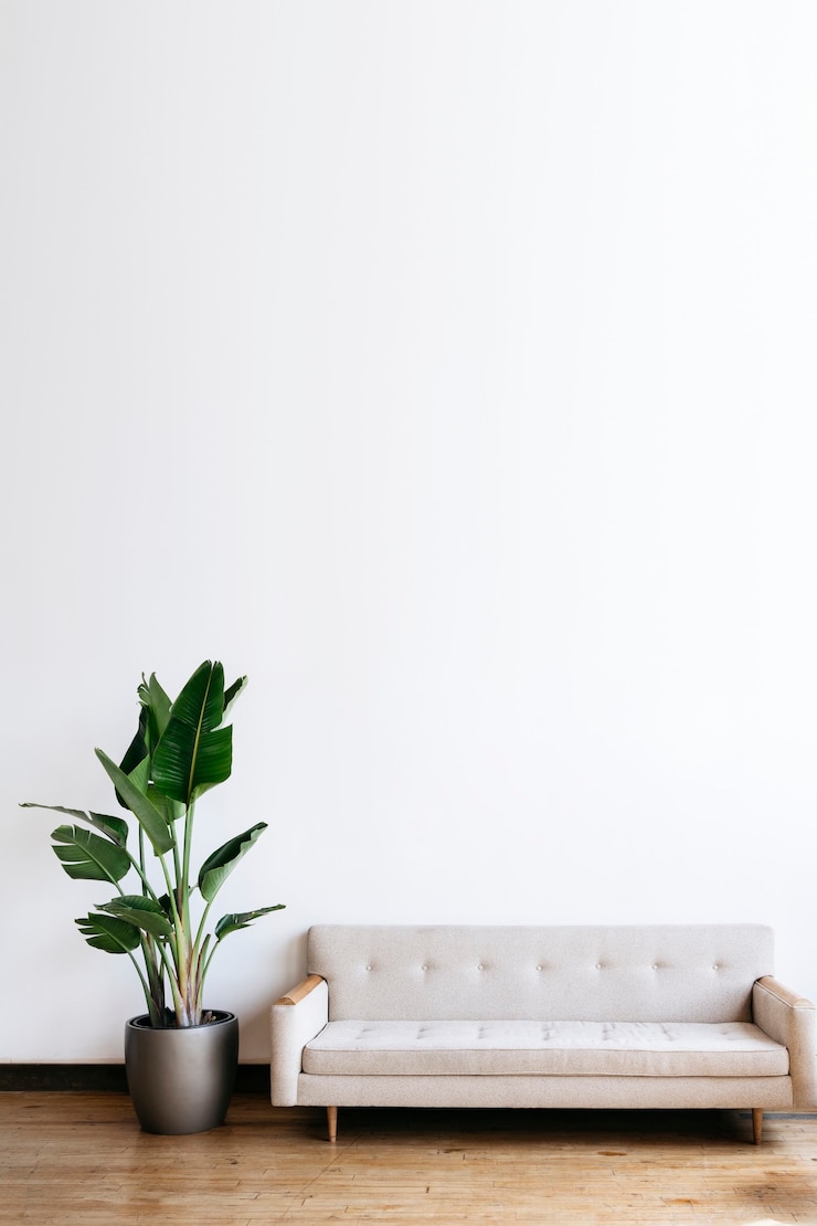 Photo modern beige fabric couch and plant in living room
