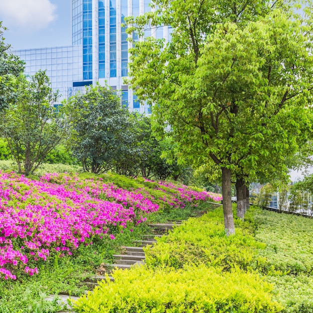 L'edificio moderno riflette la natura