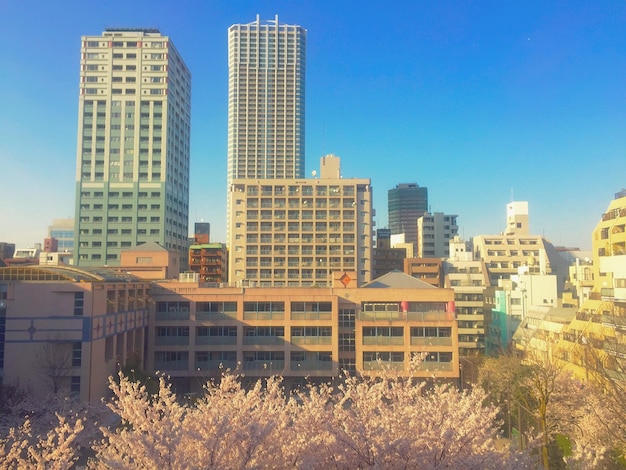 写真 明るい青い空に照らされた近代的な建物