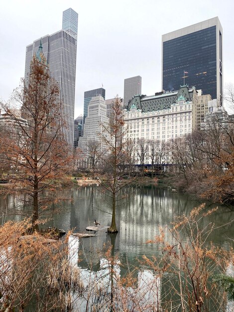 Modern buildings by river against sky